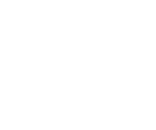 Osvet Medicina Veterinária, Clínica com cirurgia em São Paulo