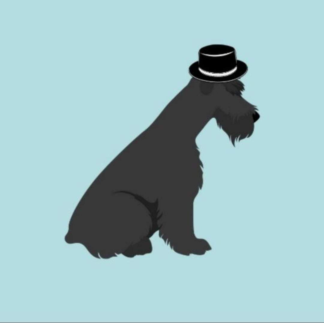 Sir Oliver Pet, Consultório em Uberlândia