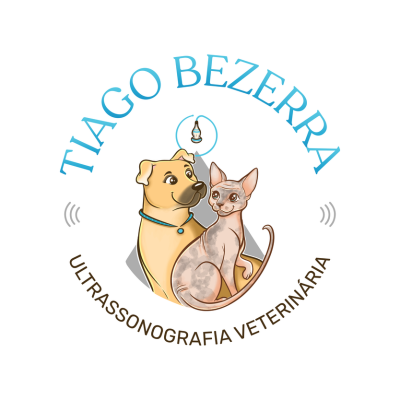 Dr. Tiago Bezerra da Silva, Ultrassom em Sertãozinho