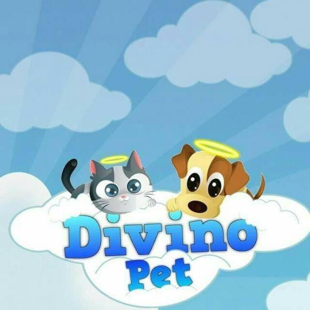 Avatar do(a) Divino Pet