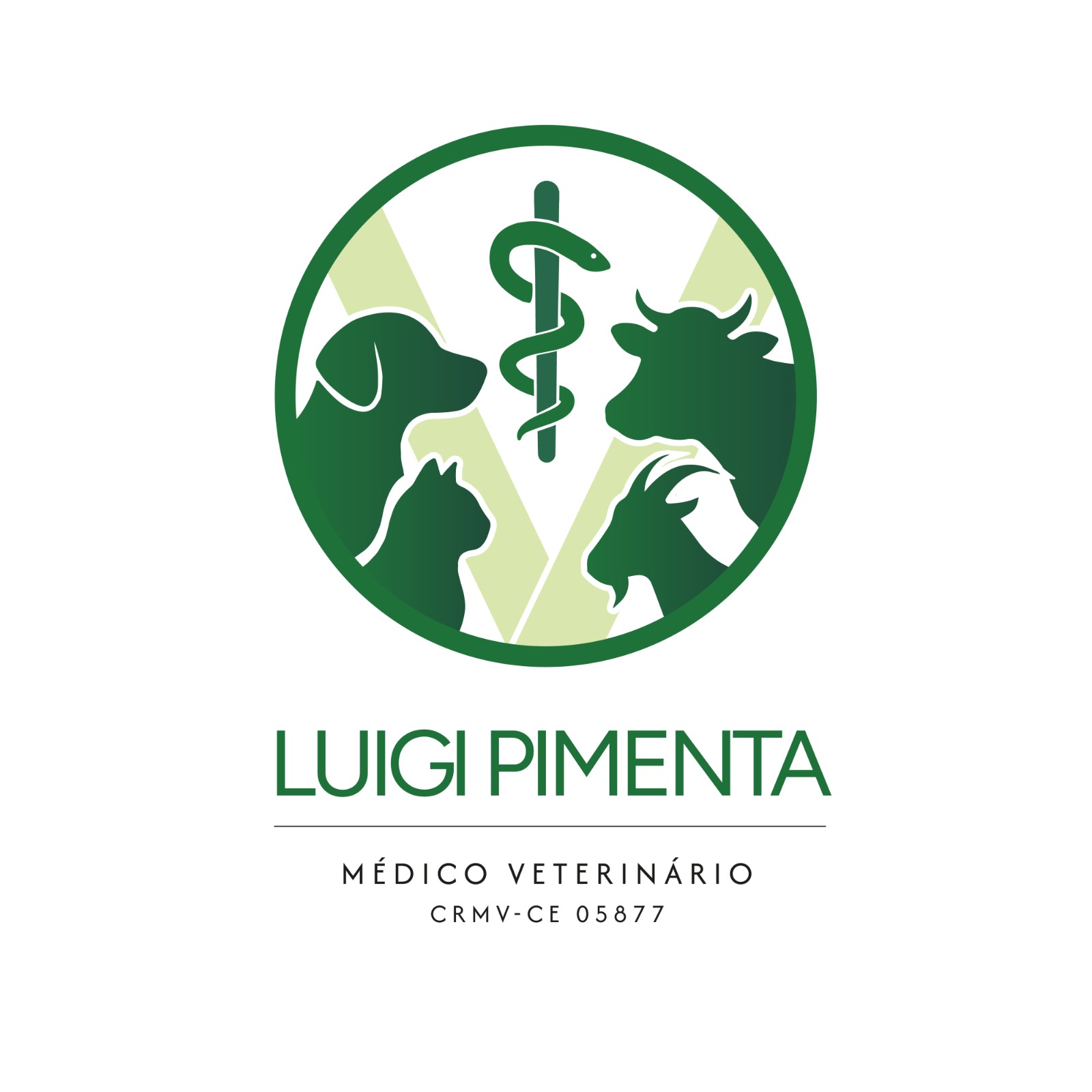 Dr. Luigi Pimenta, Veterinário a Domicílio em Fortaleza