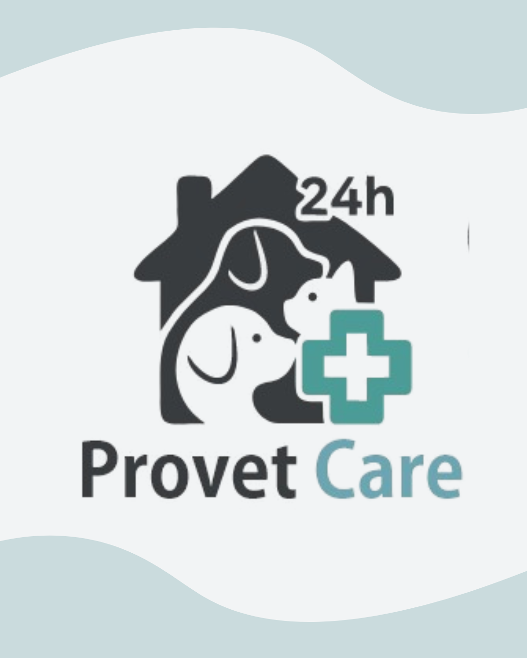 Provet Care Clínica Veterinária Humanizada, Consultório em Mogi Mirim