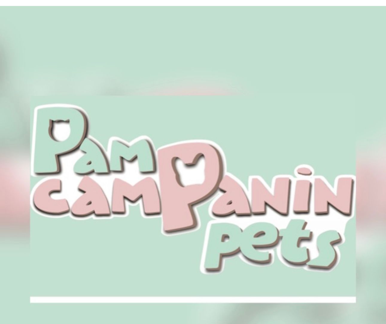 Pam Campanin Pets, Consultório em Cuiabá