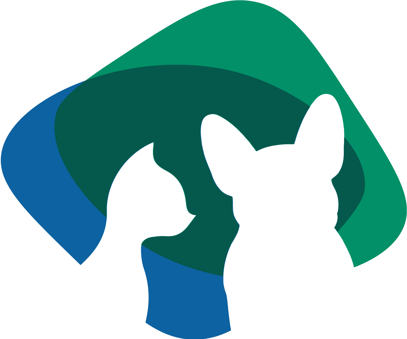 VIDAVET CLINICA VETERINARIA, Clínica com cirurgia em Brasília
