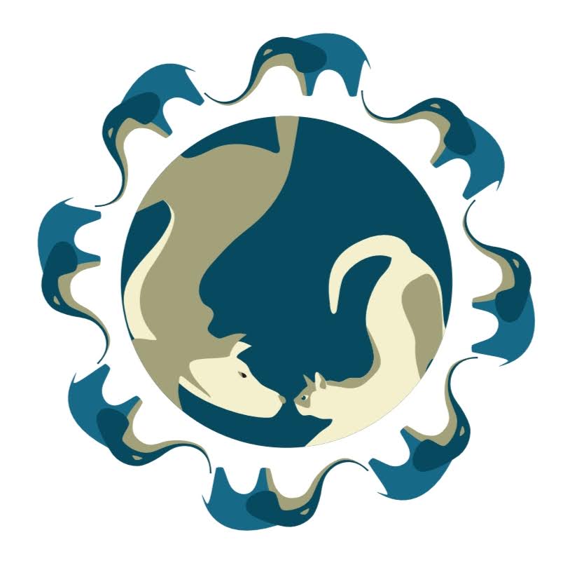 Avatar do(a) Mundo à Parte São José do Rio Preto
