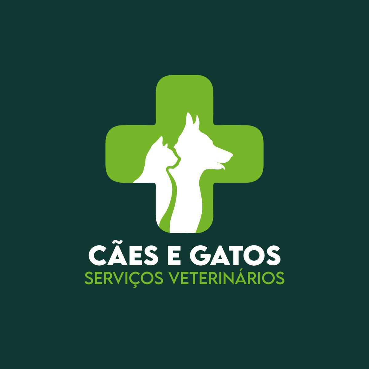 Avatar do(a) CGSV