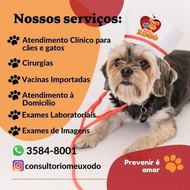 Consultório Meu Xodó - Unidade Nova Iguaçu, prestador credenciado Petlove Saúde em Nova Iguaçu