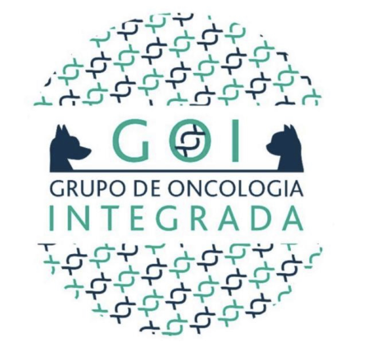 GOI - Grupo de Oncologia Integrada, Oncologia em São Paulo