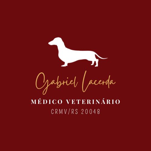 Dr. Gabriel Lacerda, Veterinário a Domicílio em Eldorado do Sul