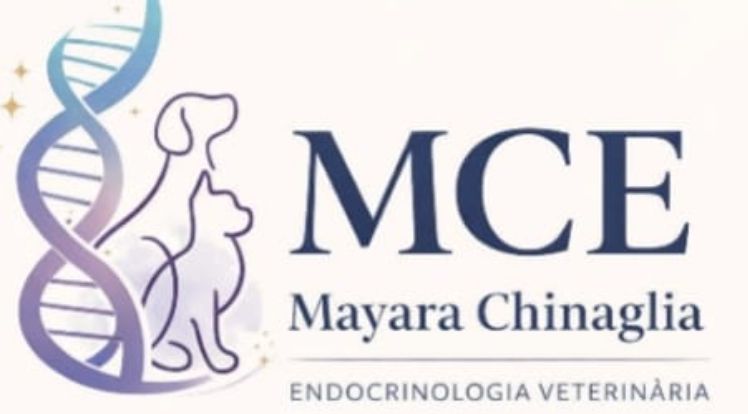 Dra. Mayara Chinaglia - ENDOCRINOLOGISTA, Endocrinologia em São Bernardo do Campo