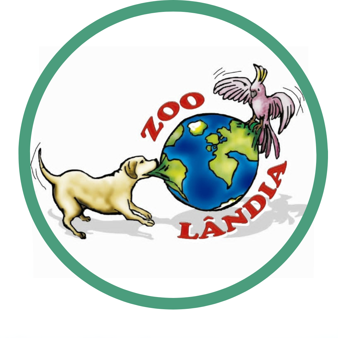 Dr. Leonardo Mattos, Veterinário a Domicílio em Rio de Janeiro