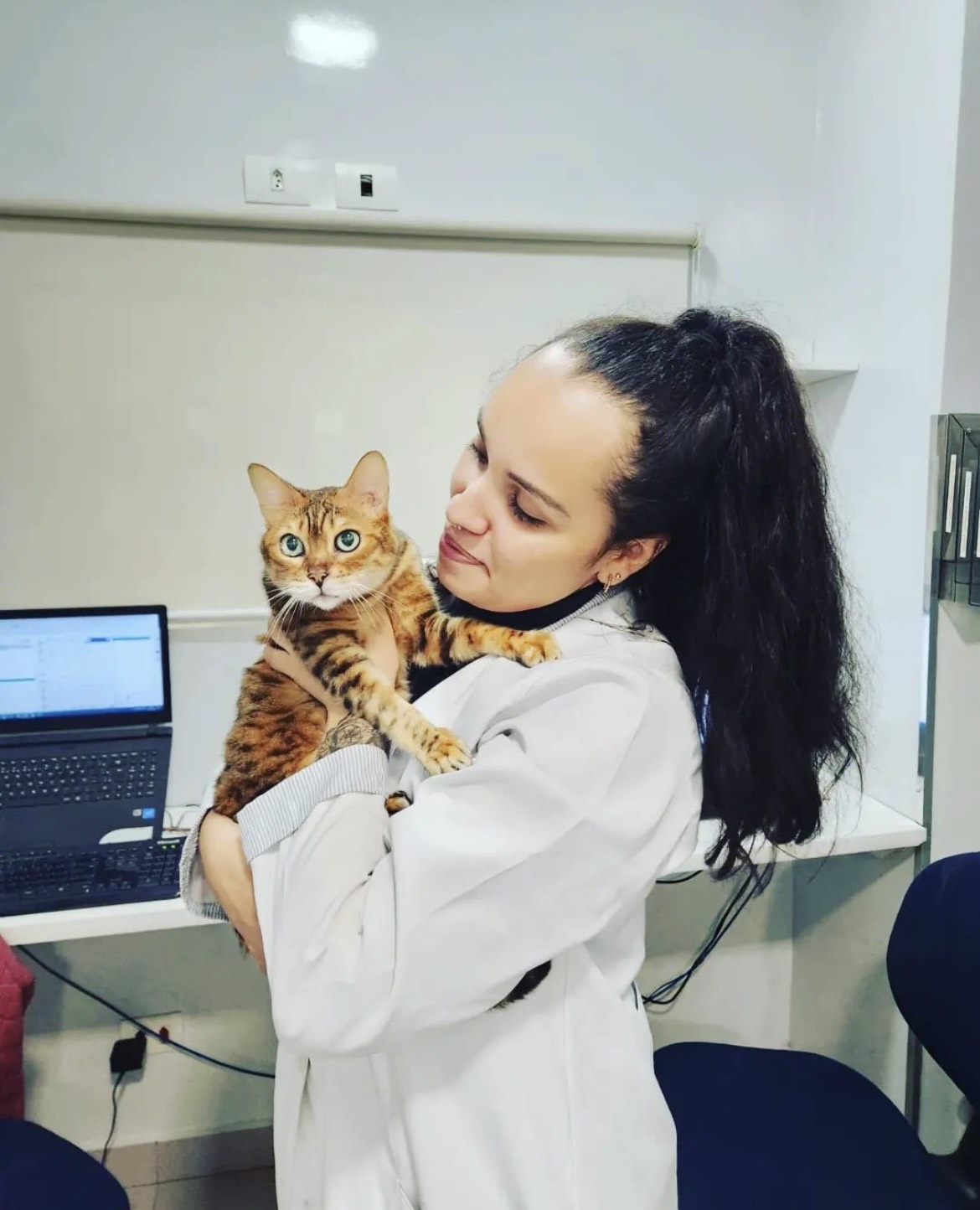 Dra. Luany Adriane, Felinos em São Paulo