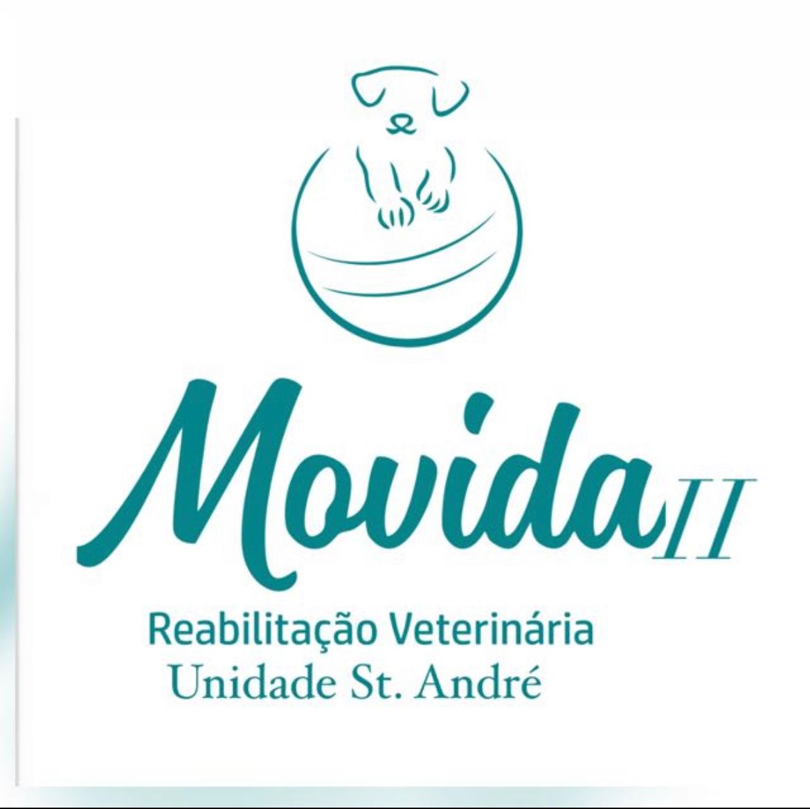 Movida Reabilitação Veterinária - Unidade Sto. André, Fisio e/ou Acupuntura em Santo André