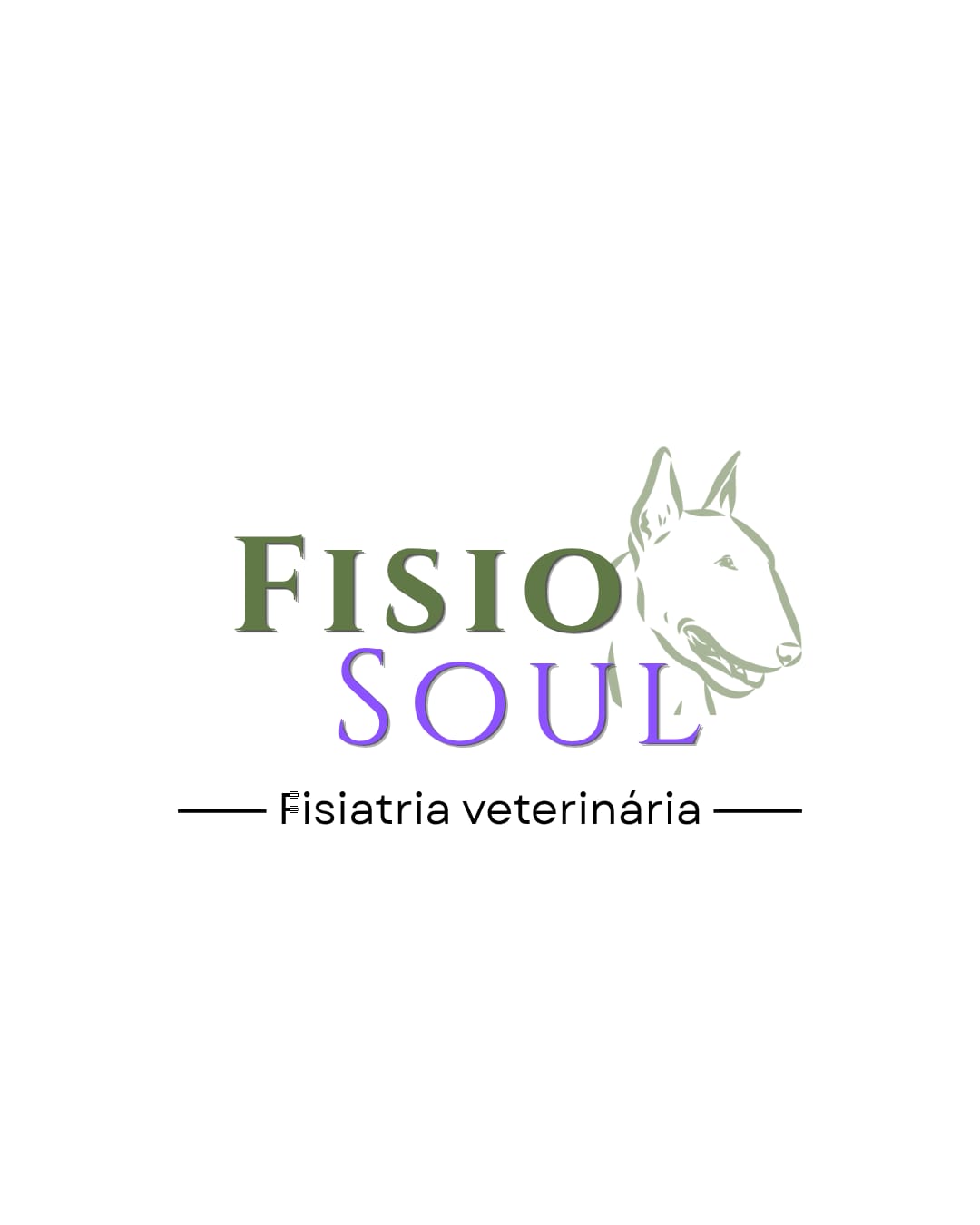 Fisio Soul - Dr. Victor Castro, Fisio e/ou Acupuntura em São Paulo