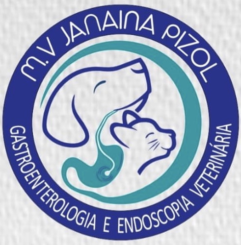 Dra. Janaina Pizol, Gastroenterologia em Jundiaí