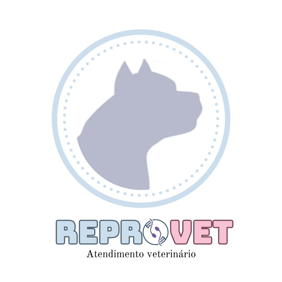 Dra. Priscila Weber, Veterinário a Domicílio em Gravataí