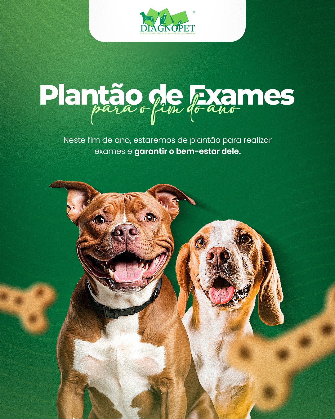 Diagnopet - Diagnóstico por Imagem, Endoscopia em Brasília