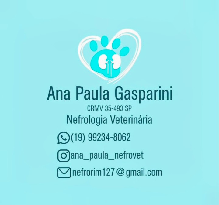 Dra. Ana Paula Gasparini, Nefrologia em Araras