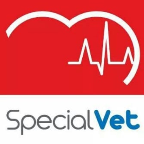 SPECIALVET Cardio, Cardiologia em São Paulo