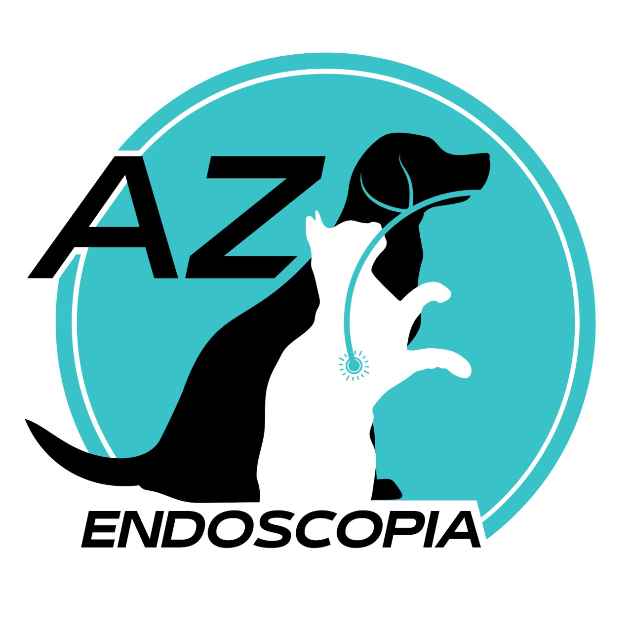 Az Endoscopia (Dr. Bruno Azevedo), prestador credenciado Petlove Saúde em São Paulo