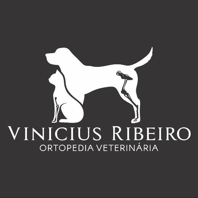 Avatar do(a) Dr. Vinicius Ribeiro