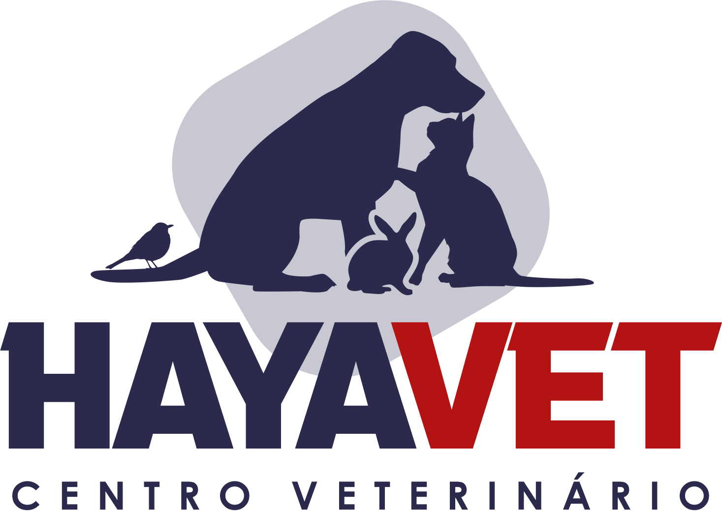 Haya Vet Freguesia, Cardiologia em São Paulo
