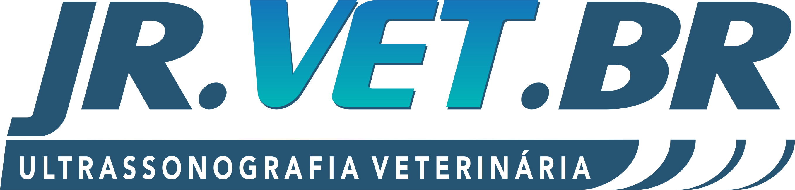 Jr.Vet.Br - Ultrassonografia Veterinária, Ultrassom em Amparo