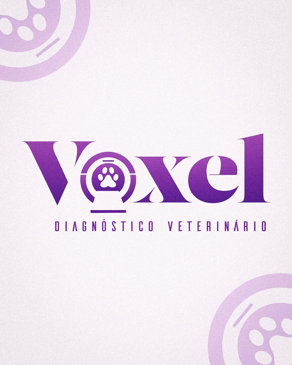 Voxel - diagnóstico, Tomografia em Brasília