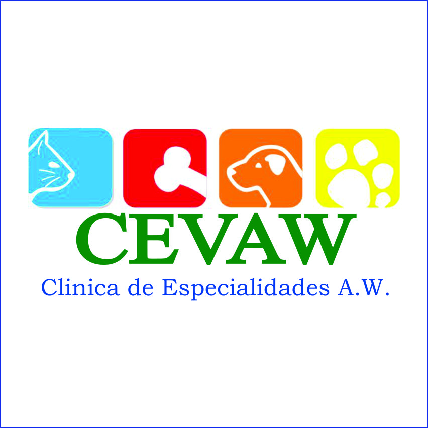 Avatar do(a) CEVAW - Centro de Especialidades Veterinárias