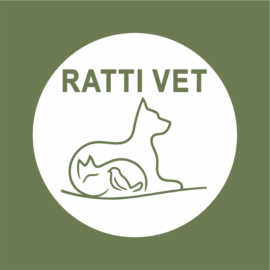 Ratti Vet, Consultório em São Paulo