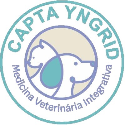 Capta Yngrid, prestador credenciado Petlove Saúde em São Paulo