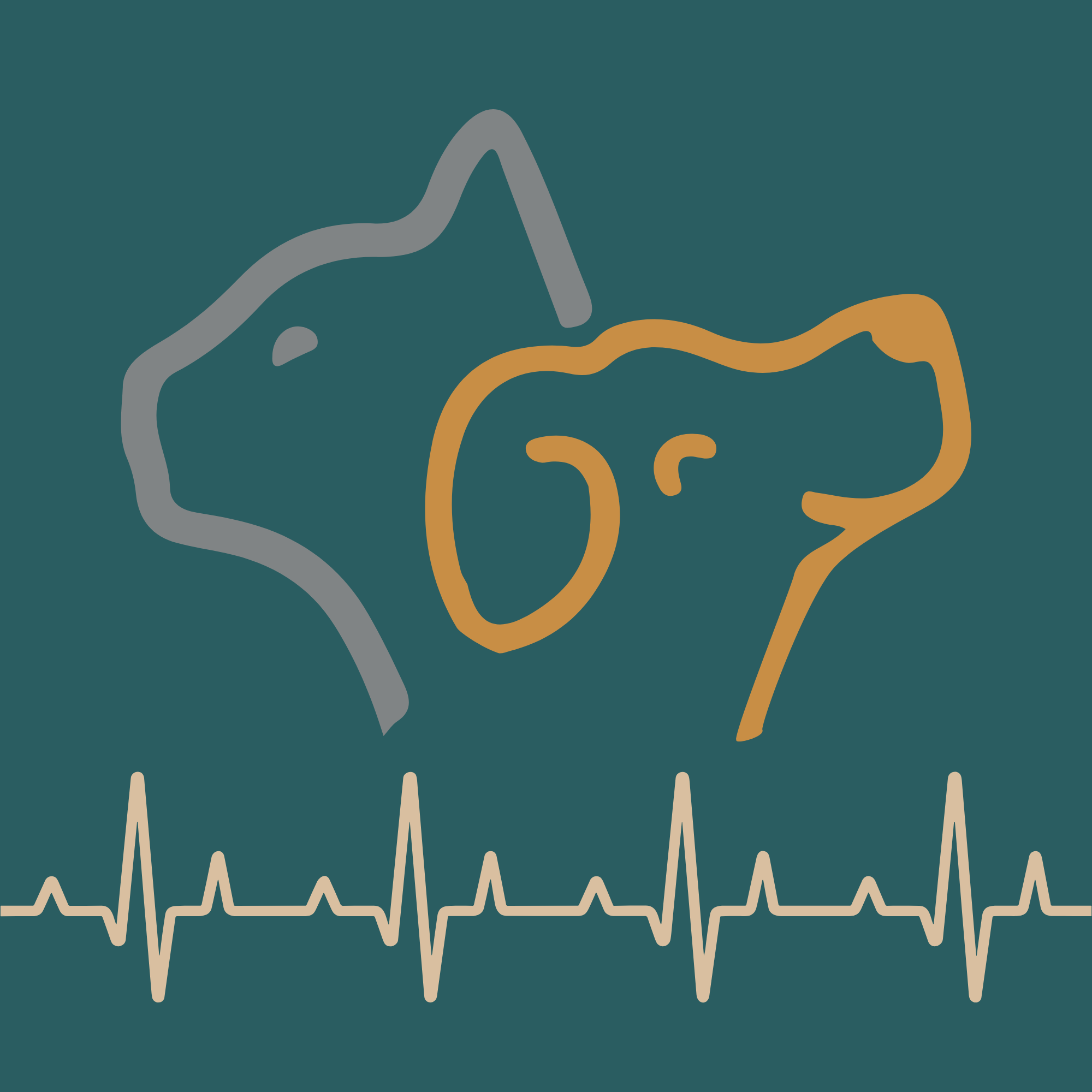 Avatar do(a) JELC Cardiovet