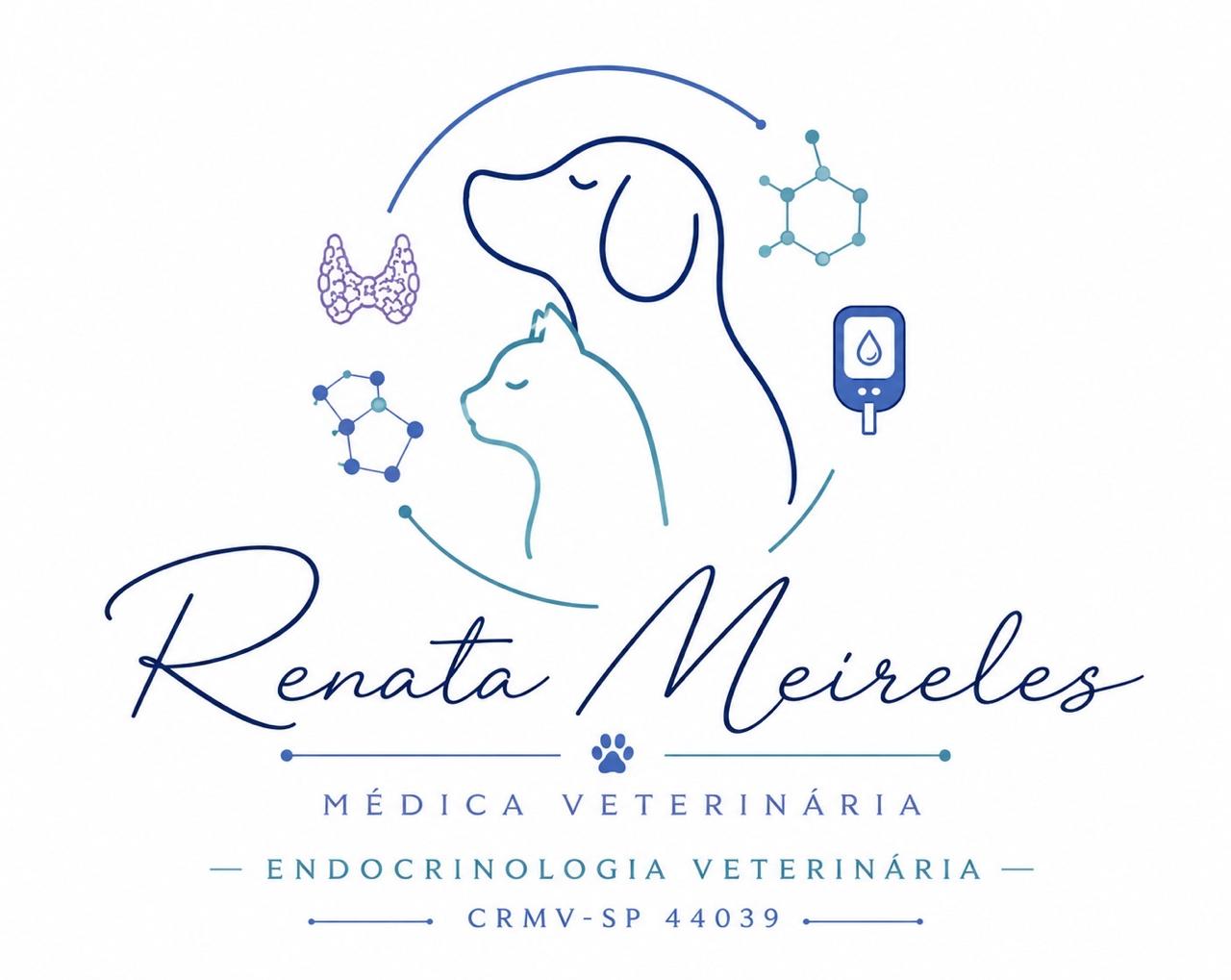 Dra. Renata Meireles, Endocrinologia em São Paulo