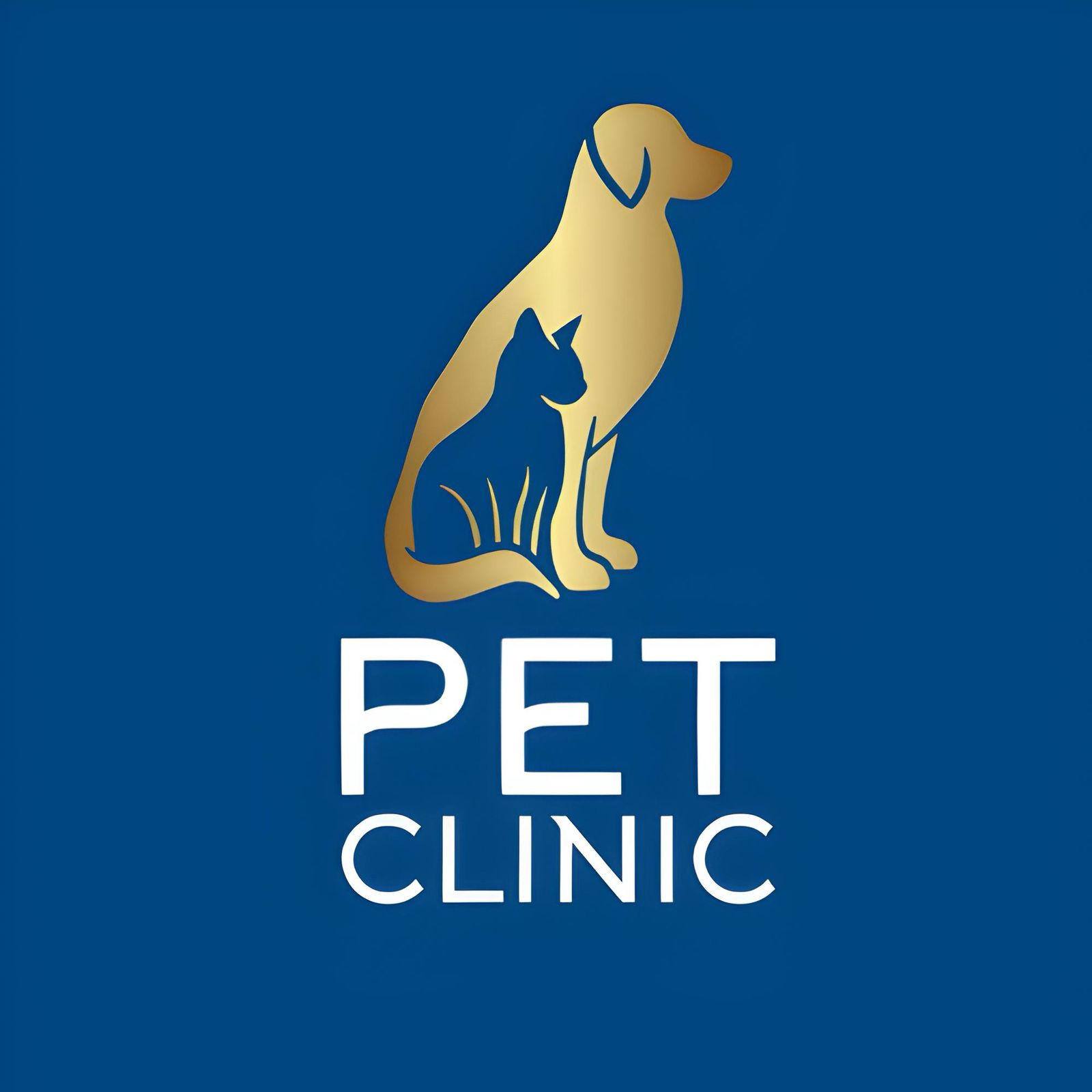 Pet Clinic, Consultório em Cidade Ocidental