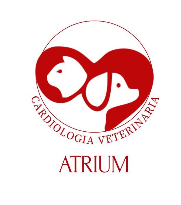 Atrium Cardiologia Veterinária, Cardiologia em Santos