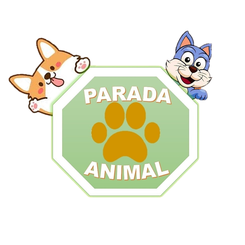 Parada Animal, Dermatologia em São Paulo