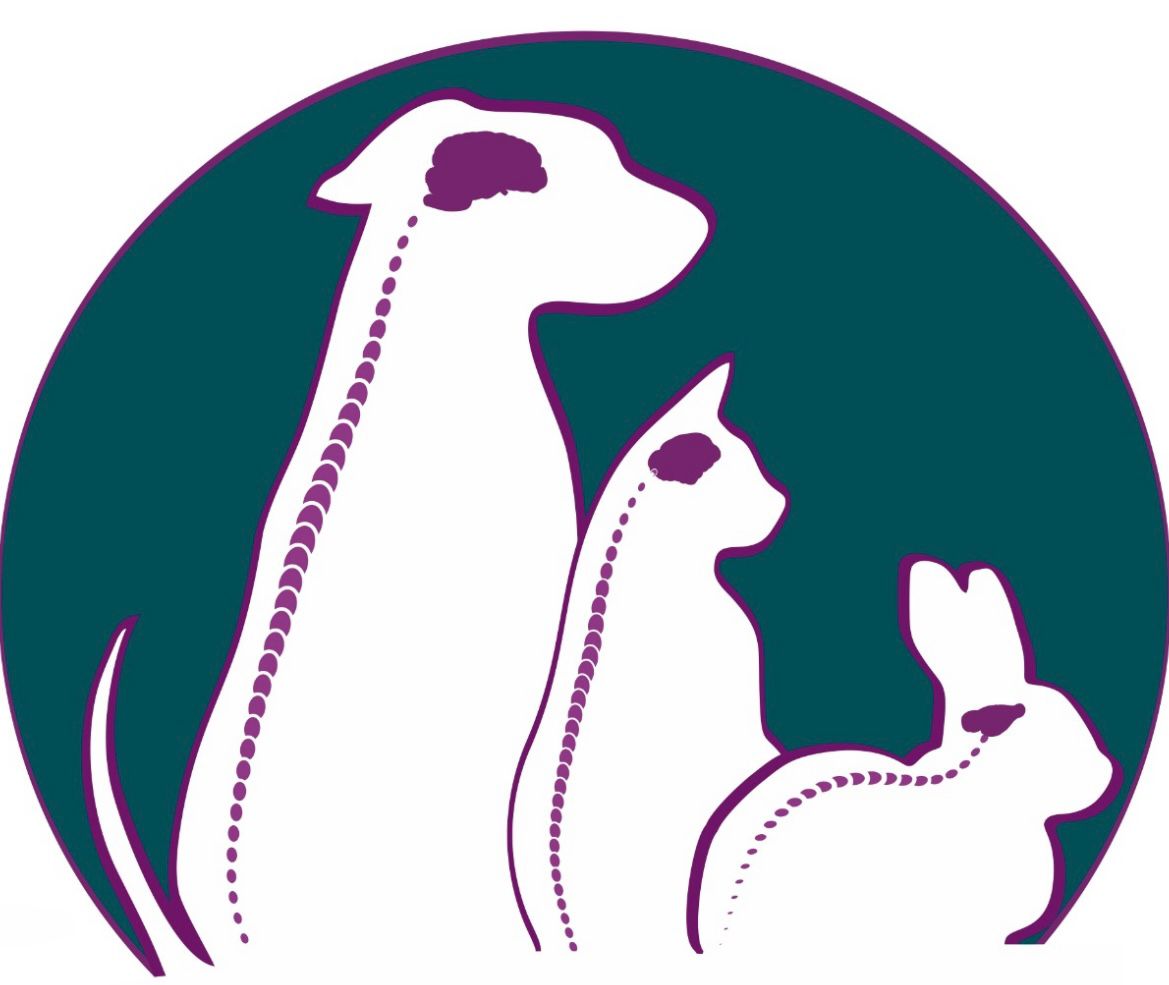 NeuroExotic Vets, Neurologia em Santo André