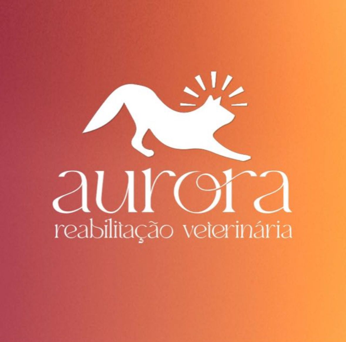 Aurora Reabilitação Veterinária, prestador credenciado Petlove Saúde em Porto Alegre