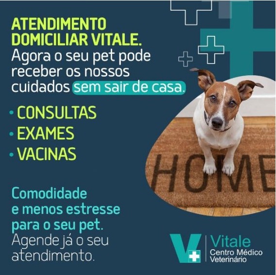 Avatar do(a) Vitale Centro Médico Veterinário