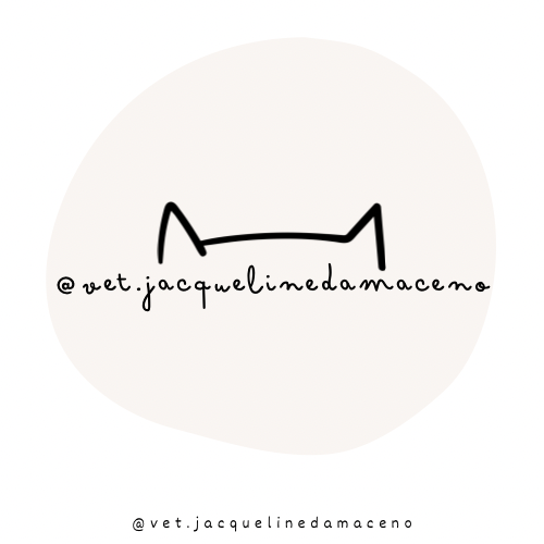 Dra. Jacqueline Damaceno - Medicina Felina e Cirurgia, Felinos em Curitiba