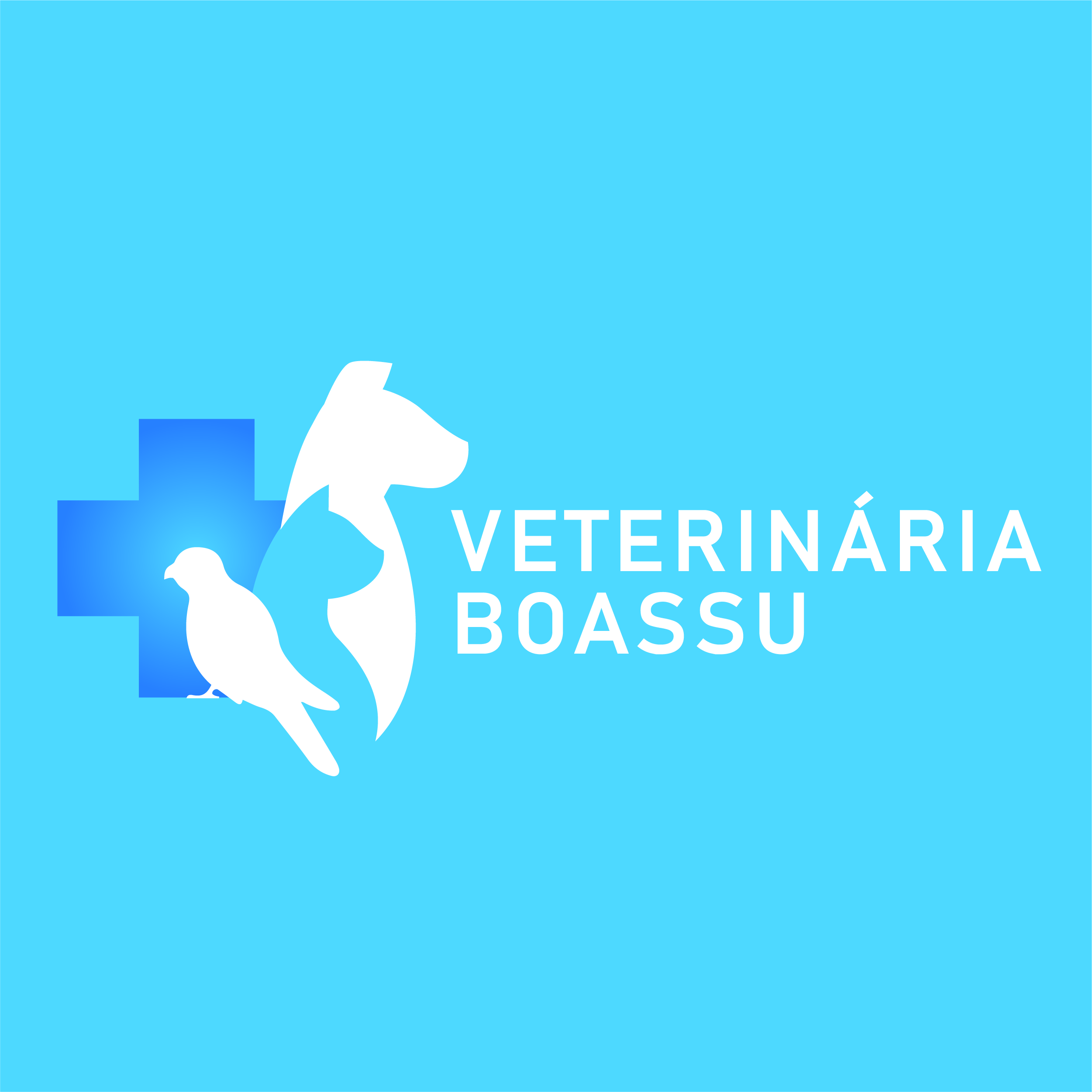 Veterinária Boassu, Clínica com cirurgia em São Gonçalo