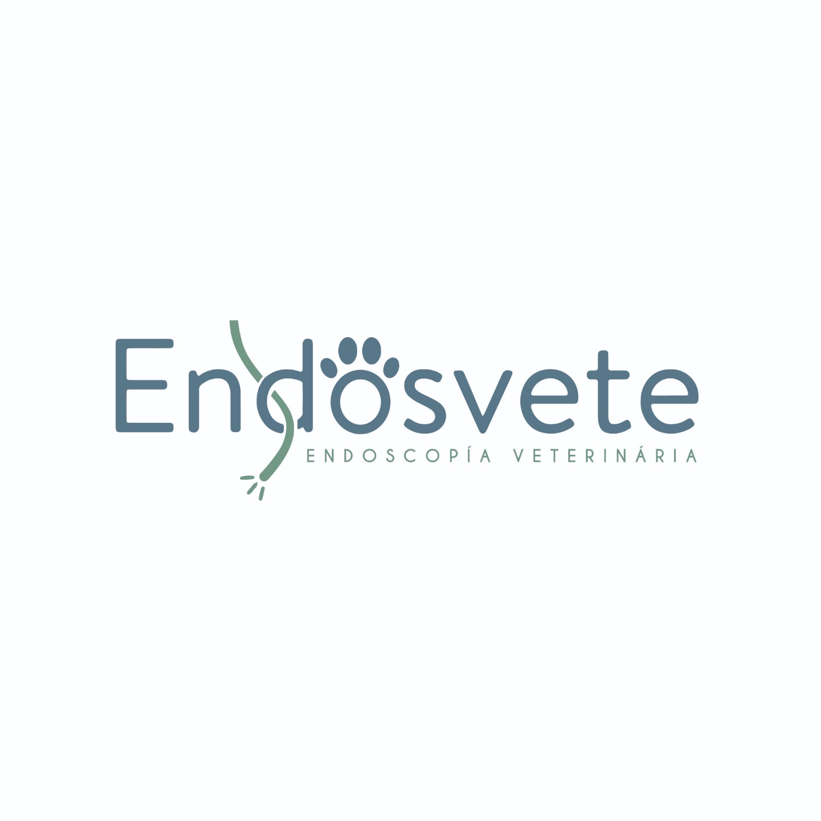 Dra. Diana Queiroz (Endosvete), Endoscopia em Salvador