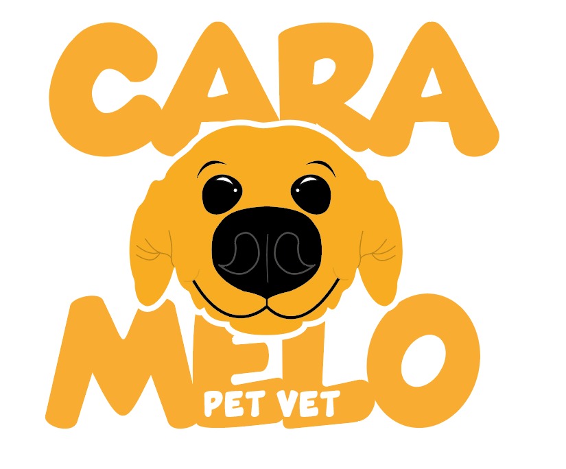 Avatar do(a) Caramelo Pet Vet