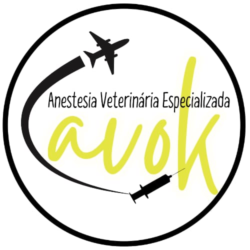 Dra. Flávia Glavina - Cavok Anestesiologia, Anestesista em São Paulo
