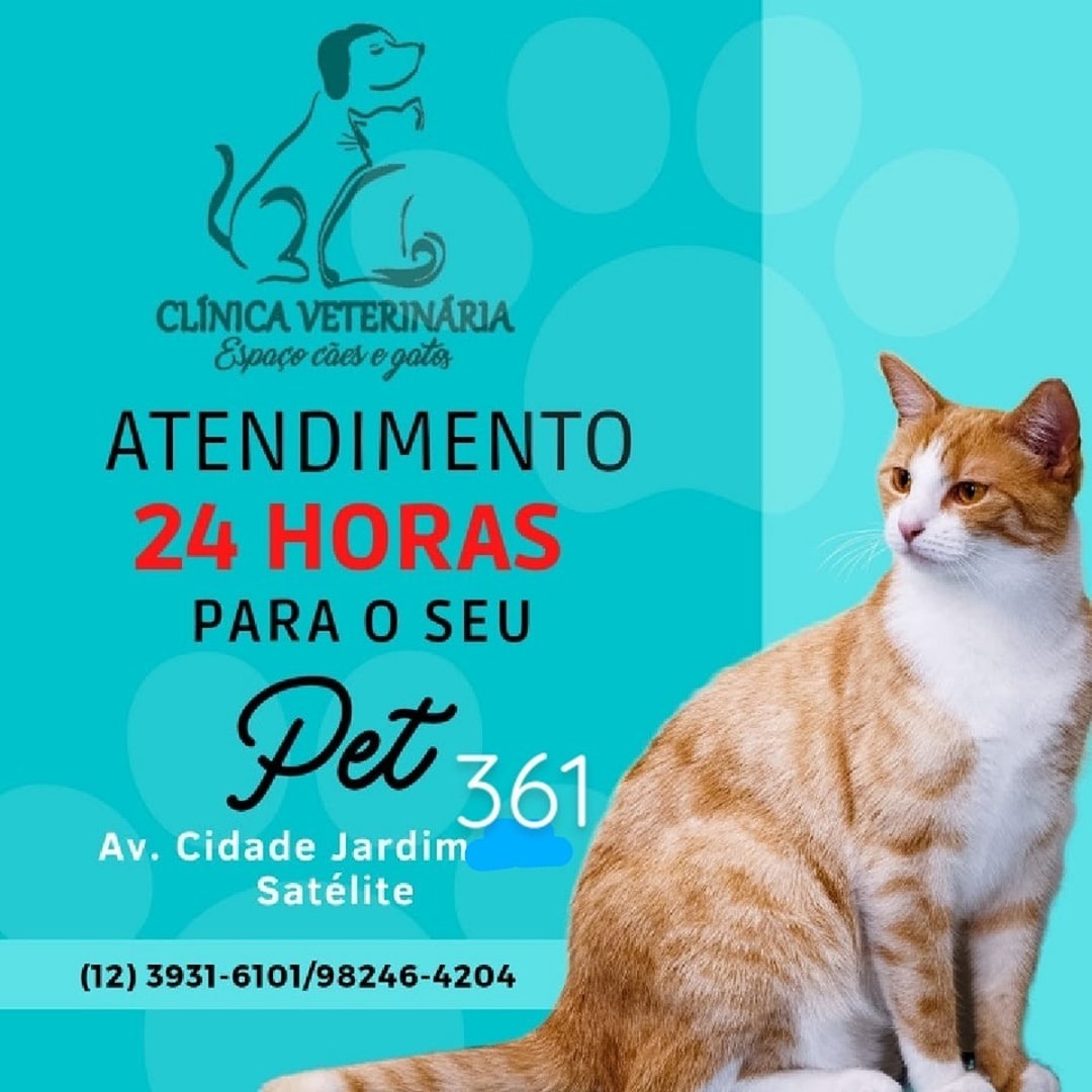 Avatar do(a) Clínica Veterinária Espaço Cães e Gatos