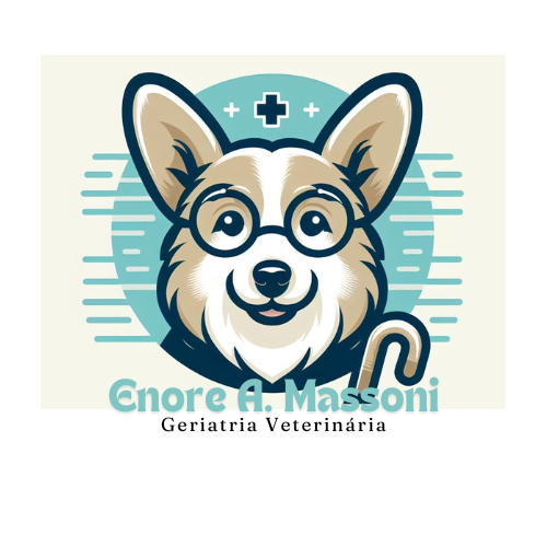 Dr. Enore Augusto Massoni, Geriatria em Rio Claro