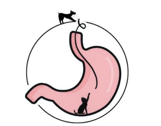 Dr. Lucas Magno - Gastroenterologia e Cirurgia Veterinária, Gastroenterologia em São Luís