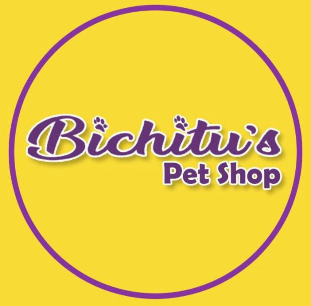 Bichitus, Consultório em São Paulo