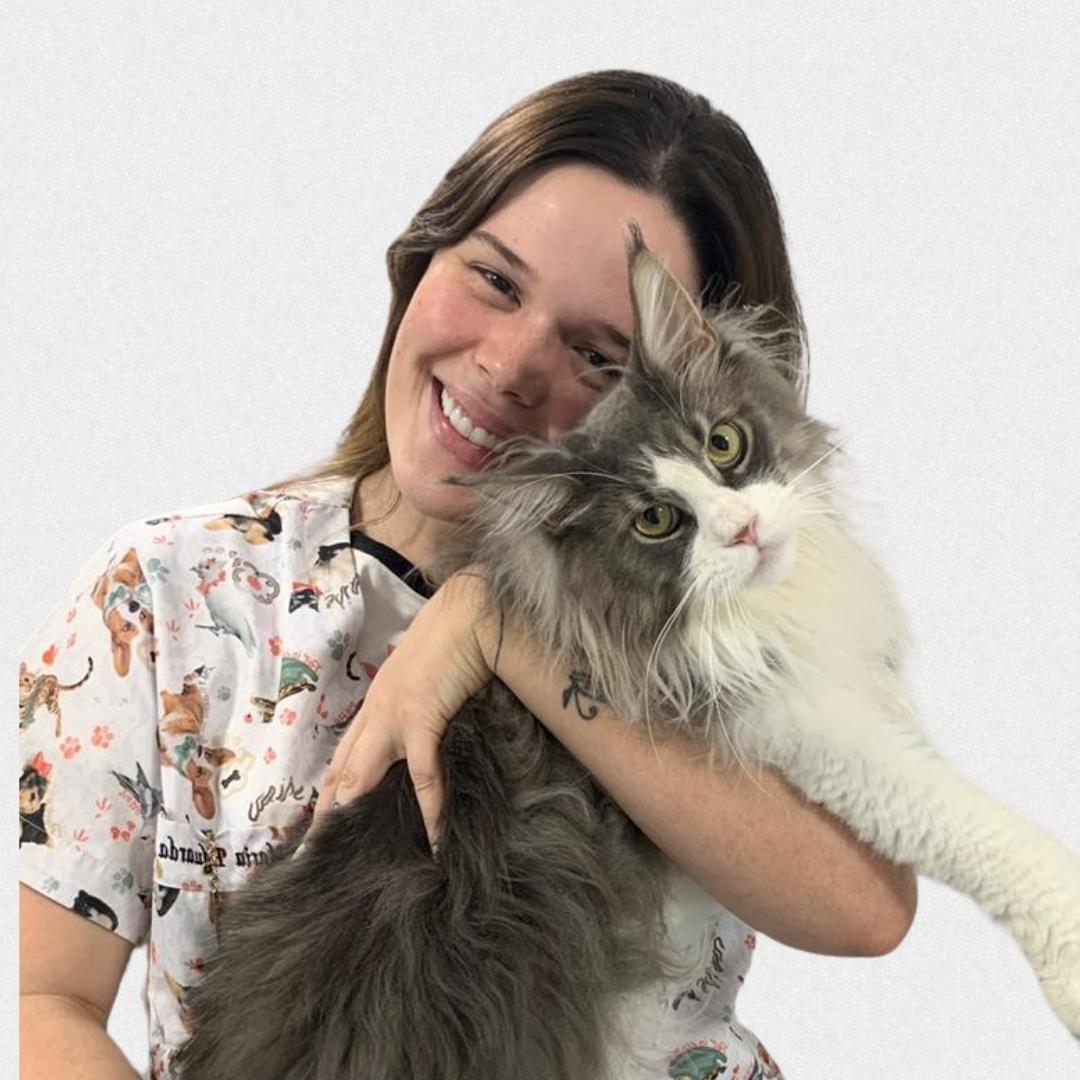 DC Odontologia Veterinária, Odontologia em Brasília