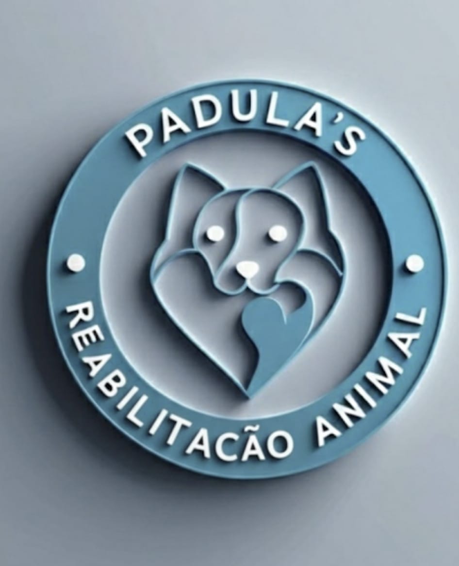 Dr. Gabriel Padula, Fisio e/ou Acupuntura em Campinas